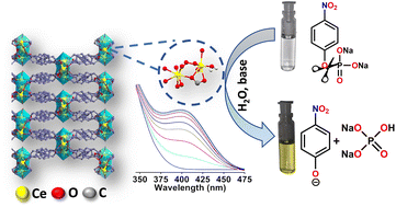 Graphical abstract: A Ce-MOF as an alkaline phosphatase mimic: Ce-OH2 sites in catalytic dephosphorylation