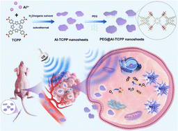 Graphical abstract: Facile synthesis of 2D Al-TCPP MOF nanosheets for efficient sonodynamic cancer therapy