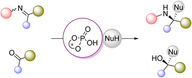 Graphical abstract: An overview of the applications of chiral phosphoric acid organocatalysts in enantioselective additions to C [[double bond, length as m-dash]] O and C [[double bond, length as m-dash]] N bonds