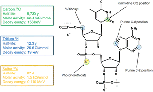 Graphical abstract: Radiolabelling small and biomolecules for tracking and monitoring