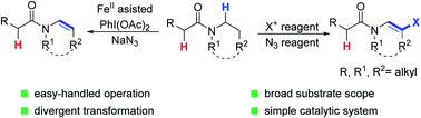 Graphical abstract: Selective desaturation of amides: a direct approach to enamides