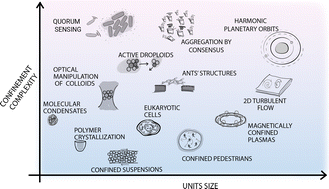 Graphical abstract: Steering self-organisation through confinement