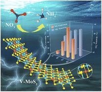 Graphical abstract: Vanadium defect-engineering in molybdenum disulfide for electrochemical nitrate reduction