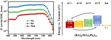 Graphical abstract: Molecular engineering for sensitive, fast and stable quasi-two-dimensional perovskite photodetectors