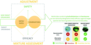 Graphical abstract: Improved efficiency of an herbicide combining bentazone and terbuthylazine – can weeds be controlled with better environmental safety?