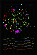 Graphical abstract: Development of a rapid detection protocol for microplastics using reflectance-FTIR spectroscopic imaging and multivariate classification