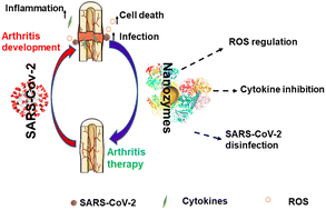 Graphical abstract: Development of nanozymes for promising alleviation of COVID-19-associated arthritis