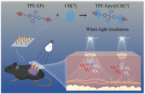 Graphical abstract: Aggregation-induced emission photosensitizer microneedles for enhanced melanoma photodynamic therapy