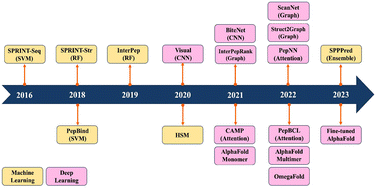 Graphical abstract: Leveraging machine learning models for peptide–protein interaction prediction