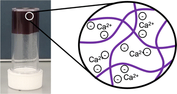 Graphical abstract: Tuning conductivity while maintaining mechanical properties in perylene bisimide hydrogels at physiological pH