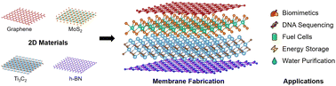 Graphical abstract: 2D materials towards energy conversion processes in nanofluidics