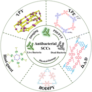 Graphical abstract: Recent advances in combatting bacterial infections via well-designed metallacycles/metallacages