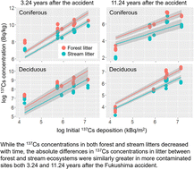 Graphical abstract: Spatiotemporal patterns in differences between the 137Cs concentrations of forest and stream litters: effect of leaching