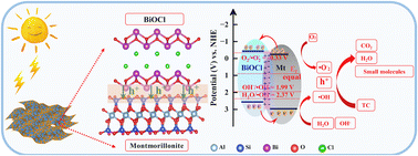 Graphical abstract: Montmorillonite helps BiOCl photodegradation of antibiotics