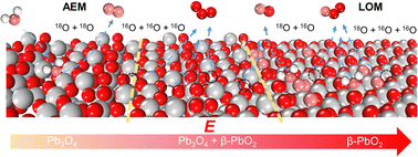 Graphical abstract: Phase shuttling-enhanced electrochemical ozone production