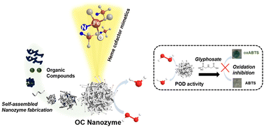 Graphical abstract: Organic compound-based nanozymes for agricultural herbicide detection