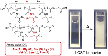 Graphical abstract: Synthesis of amino acid-derived vinyl polymers with precisely controlled hydropathy and their thermoresponsive behavior in water