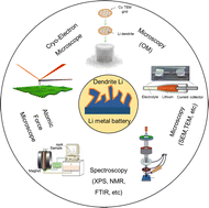 Graphical abstract: The progress of in situ technology for lithium metal batteries