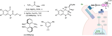 Graphical abstract: A highly enantioselective intramolecular 1,3-dipolar cycloaddition yields novel pseudo-natural product inhibitors of the Hedgehog signalling pathway