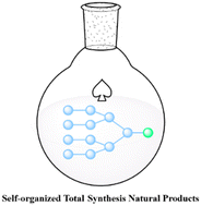 Graphical abstract: Advances in the self-organized total synthesis of natural products