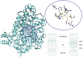 Graphical abstract: Perspective: multi-configurational methods in bio-inorganic chemistry