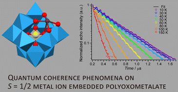 Graphical abstract: Spin coherence phenomena of an S = 1/2 copper(ii) system in a polyoxometalate with a less-abundant nuclear spin