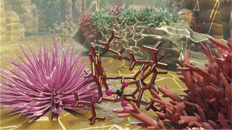 Graphical abstract: Copper coordination chemistry of the patellamides – cyanobactins in the ascidian-Prochloron symbiosis
