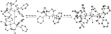 Graphical abstract: Phosphine/sulfoxide-carbone, a ligand with a flexible bonding mode for early to late transition metals