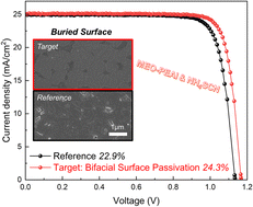 Graphical abstract: Cation optimization for bifacial surface passivation in efficient and stable perovskite solar cells
