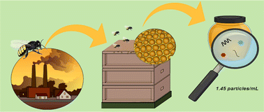 Graphical abstract: More than just sweet: current insights into microplastics in honey products and a case study of Melipona quadrifasciata honey