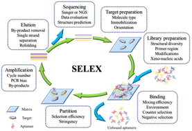 Graphical abstract: Aptamer selection via versatile microfluidic platforms and their diverse applications