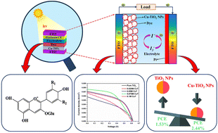 Graphical abstract: Anthocyanin-sensitized Cu-doped TiO2 nanoparticles for efficient and sustainable DSSCs