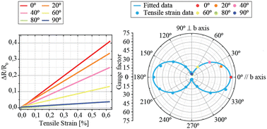Graphical abstract: Giant anisotropic piezoresponse of layered ZrSe3