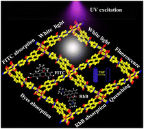 Graphical abstract: Single-component rare-earth-free white light-emitting metal–organic framework towards nitroaromatic explosive sensing and dye adsorption