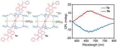 Graphical abstract: Narrow-band circularly polarized red electroluminescence in trinuclear clusters