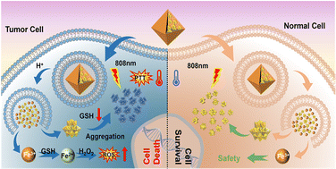 Graphical abstract: GSH/pH dual-activated POM@MOF for tumor cell-specific synergistic photothermal and chemodynamic therapy