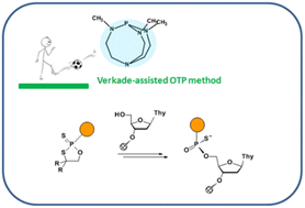 Graphical abstract: An efficient alternative to DBU in the oxathiaphospholane (OTP) method for the solid phase synthesis of P-stereodefined phosphorothioate analogs