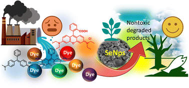 Graphical abstract: Selenium-based nanomaterials: green and conventional synthesis methods, applications, and advances in dye degradation