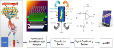 Graphical abstract: Breaking barriers in cancer diagnosis: unveiling the 4Ms of biosensors