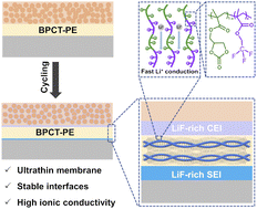 Graphical abstract: Molecular brush-based ultrathin polymer electrolytes with stable interfaces for high-voltage large-areal-capacity lithium metal batteries