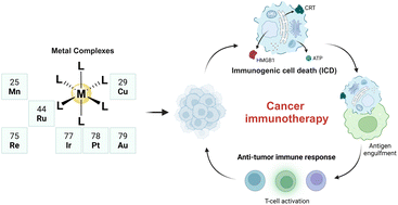 Graphical abstract: Metal-based immunogenic cell death inducers for cancer immunotherapy