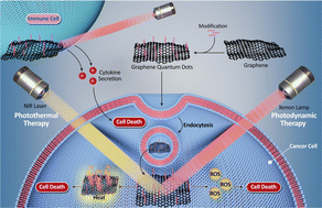 Graphical abstract: Innovative approaches for cancer treatment: graphene quantum dots for photodynamic and photothermal therapies