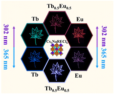 Graphical abstract: Rare earth-based Cs2NaRECl6 (RE = Tb, Eu) halide double perovskite nanocrystals with multicolor emissions for anticounterfeiting and LED applications