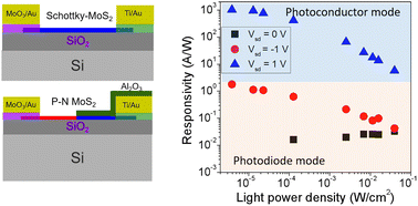 Graphical abstract: 2D MoS2 photovoltaic detectors with a switchable mode