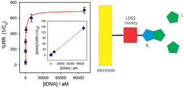 Graphical abstract: Quantum electroanalysis in drug discovery