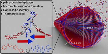 Graphical abstract: Highly stable self-assembled nanotubes from a bipyridinium-based amphiphilic pseudopeptide