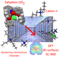 Graphical abstract: X-ray crystallographic and computational studies of quaternary ammonium chloride salt complexes with uranyl–salophen compounds