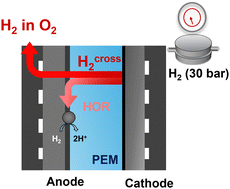 Graphical abstract: Importance of hydrogen oxidation reaction current in quantifying hydrogen crossover in PEM water electrolyzers at high differential pressure