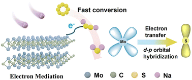 Graphical abstract: Enhanced d–p orbital hybridization accelerates two-step quasi-solid-state sulfur conversion in sodium–sulfur batteries