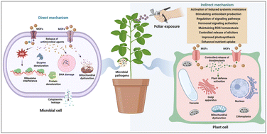Graphical abstract: Metal–organic frameworks as versatile platforms for sustainable crop disease management: a comprehensive review of mechanisms and applications